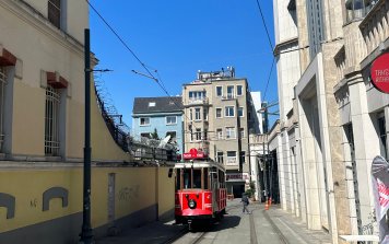 6- Dingo'nun Ahırı